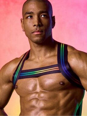 Black Coyote Rainbow Stripe Chest Harness